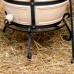 Тандыр Аполлон